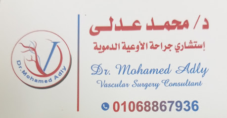 Mohamed Adly Mohamed