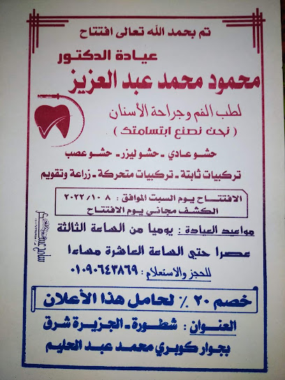 محمود محمد عبدالعزيز