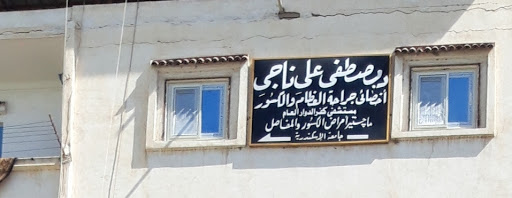 مصطفى على ناجى