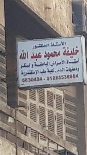 خليفة محمود عبد الله