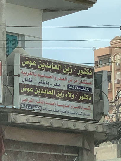Zyn El-Aabdyn Ali
