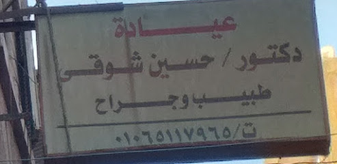 حسين شوقى