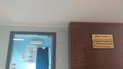 محمد شعلان