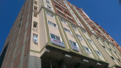 Mohamed Ahmed Abdelmoneim