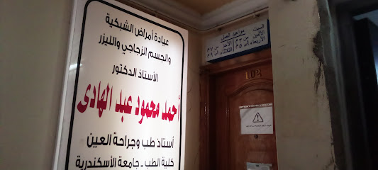 Ahmed Mahmoud Abdelhady