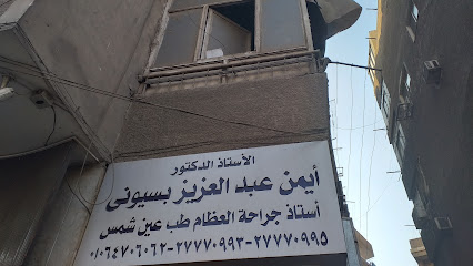 Ayman Abdelaziz Bsywny