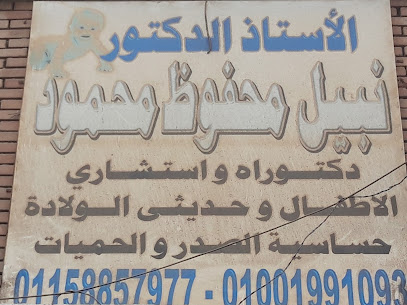 Nabil Mhfwz Mahmoud