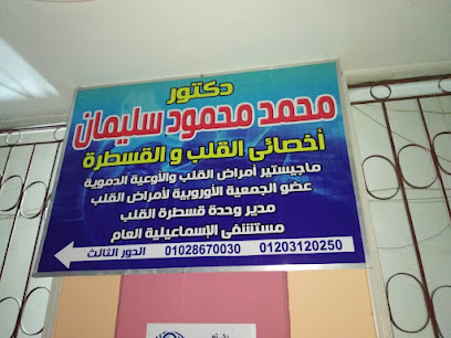 Mohamed Mahmoud Soliman