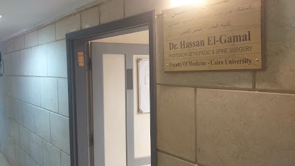 Hassan El-Gml
