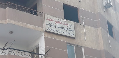 Wafaa Shfyk Mohamed