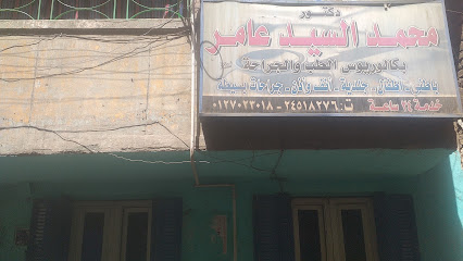 Mohamed El-Sayed Aamr