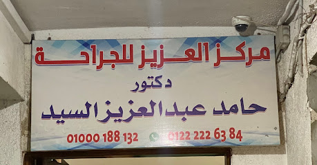 Hamd Abdelaziz El-Sayed
