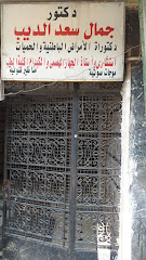 Gamal Saad El-Dyb