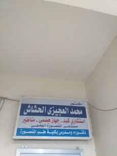 Mohamed El-Agyzy El-Hshash