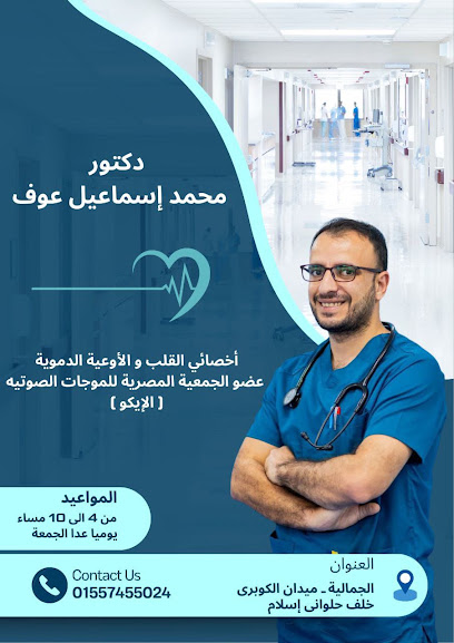 محمد إسماعيل عوف