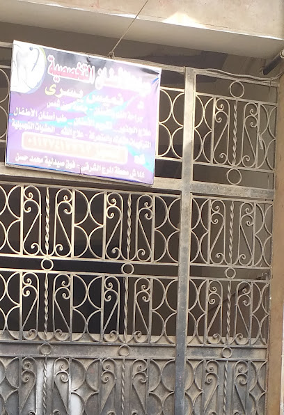 نميس يسرى