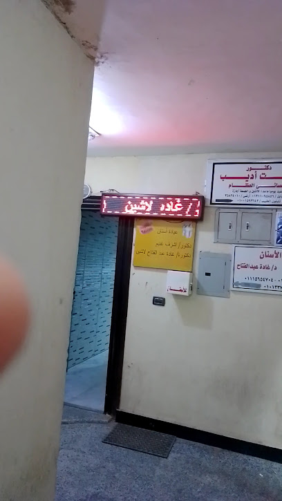 غادة عبدالفتاح لاشين