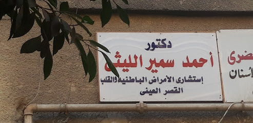 أحمد سمير الليثى