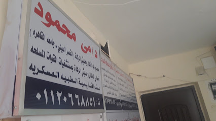 مى محمود