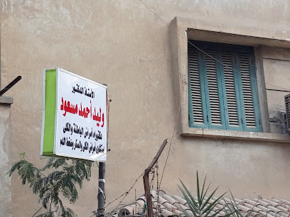وليد مسعود