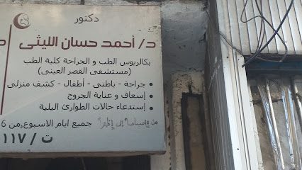 احمد حسان الليثى