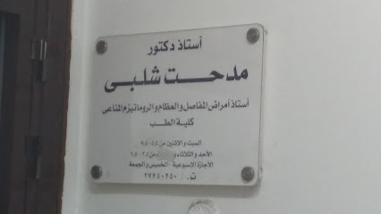 مدحت شلبي