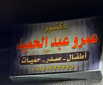 Amr Abdelhamid