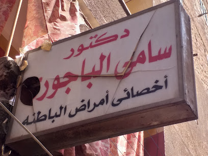 Samy El-Bagwry