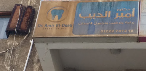 Amyr El-Dyb