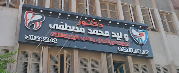 Walid Mohamed Mostafa