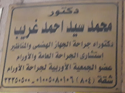 محمد سيد احمد غريب