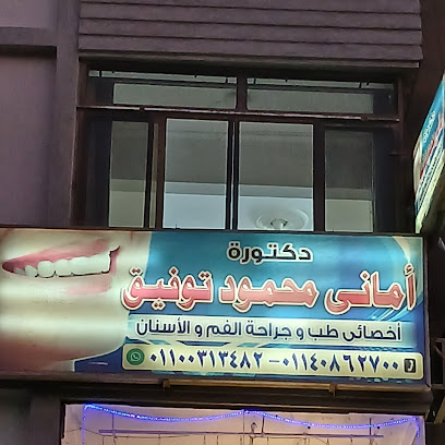 Amany Mahmoud Twfyk