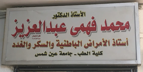 Mohamed Fahmy Abdelaziz