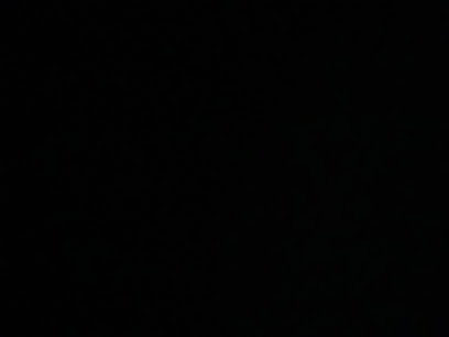 يحيي مخيمر