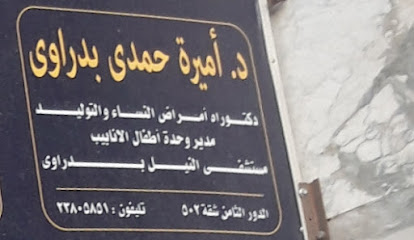 Amyrh Hamdy Bdrawy