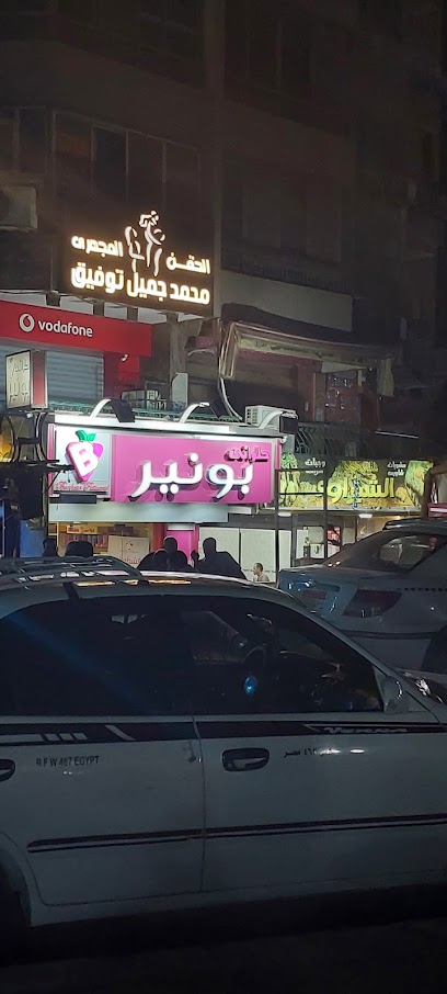 Mohamed Gmyl Twfyk El-Maady