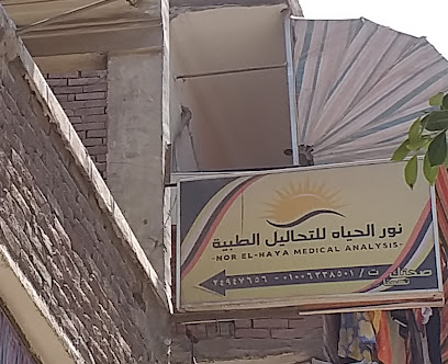نور الحياه