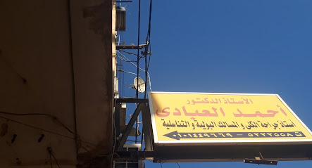 أحمد العبادى
