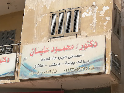 Mahmoud Alyan