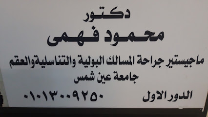 Mahmoud Fahmy