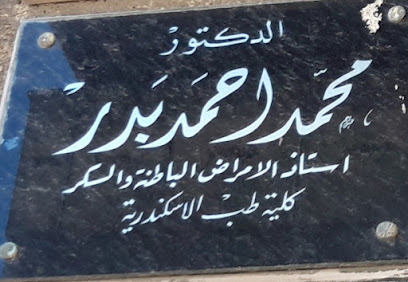 Mohamed Ahmed Bdr