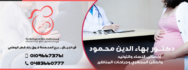 Bha Eldin Mahmoud Zhdy