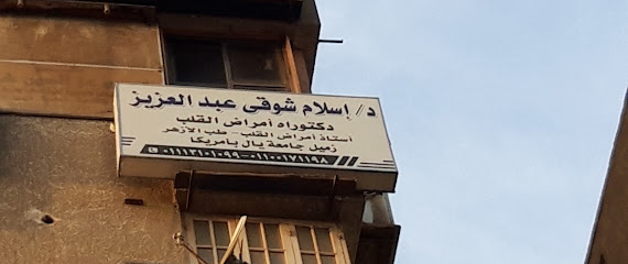 إسلام شوقى عبدالعزيز