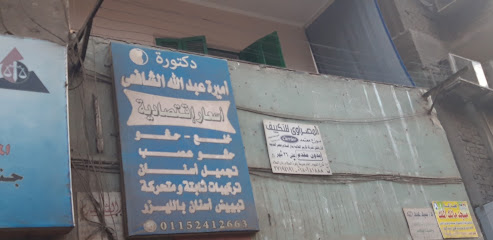 أميرة عبد الله الشافعى