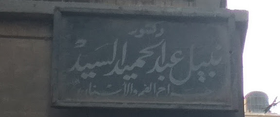 Nabil Abdelhamid El-Sayed