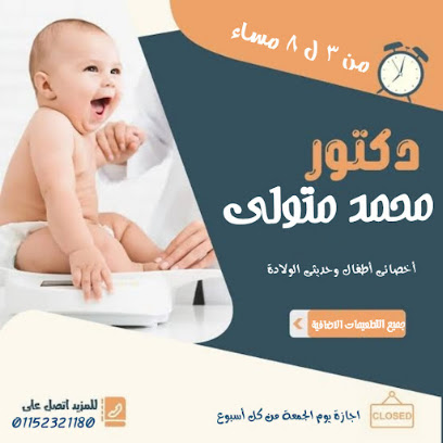 Mohamed Metwally