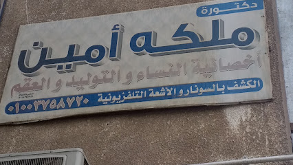 Mlkh Amyn