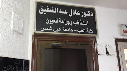 عادل عبد الشفيق