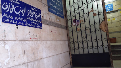 Zynb Fawzy