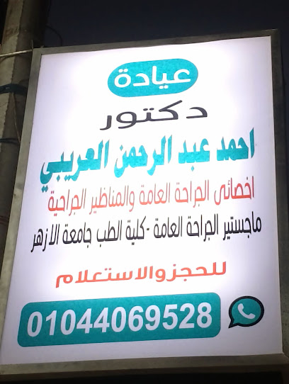 Ahmed El-Aryby